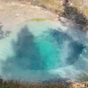 Meet your Posher, Dalton